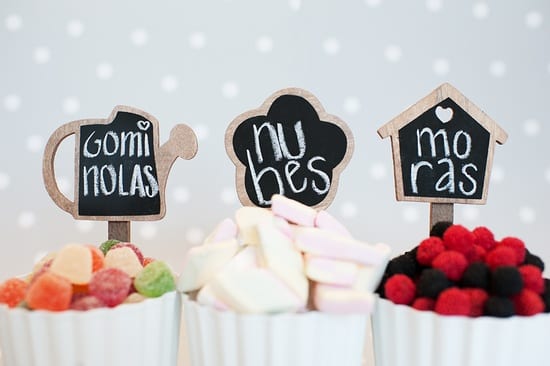 my little party 4