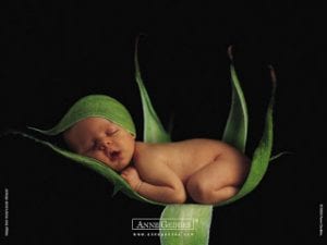 anne-geddes-pea-in-a-pod