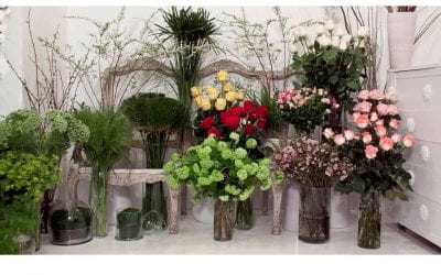 Margarita se llama mi Amor – Flores para Mamá